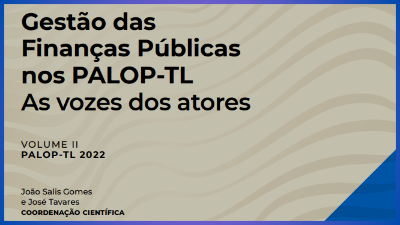 Public Sector Auditing: digital tools to increase effiency and effectieveness